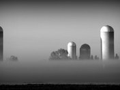 Silo's in the Mist
