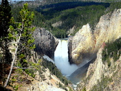 yellowstone