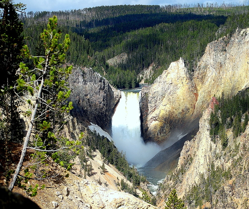 yellowstone