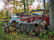 Wrecking Yard Beauties