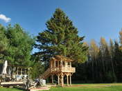 Tree House