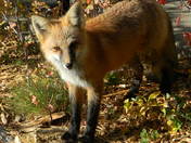 Rocky Mountain National Park