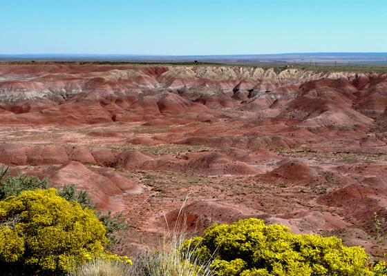 Petrified Forest National Park