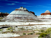 Petrified Forest National Park