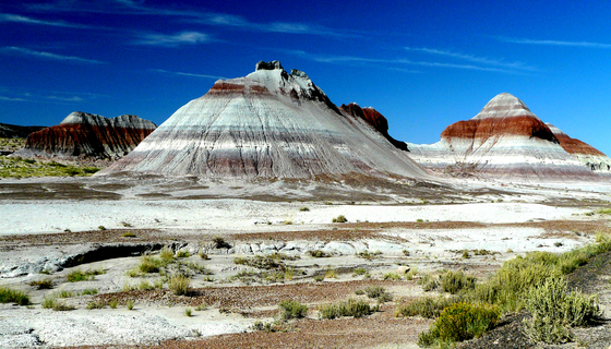 Petrified Forest National Park