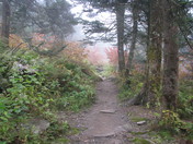 Great Smoky Mountains National Park