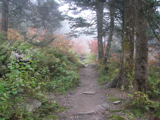 Great Smoky Mountains National Park