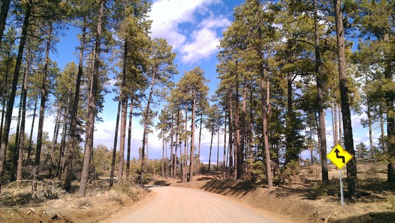 Prescott National Forest