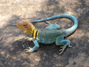 Mesa Verde, Colorado