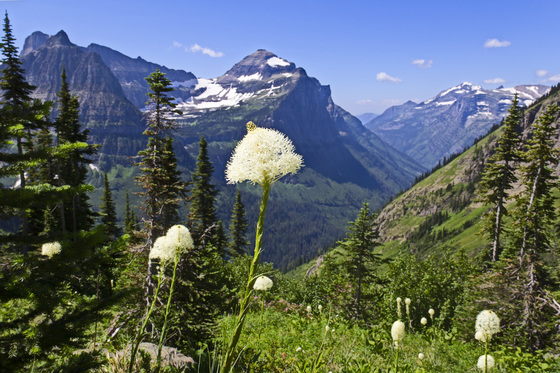 Glacier National Park