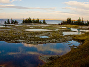 Yellowstone National Park Wyoming