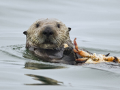 Moss Landing National Reserve Wetlands