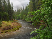 Yosemite National Park