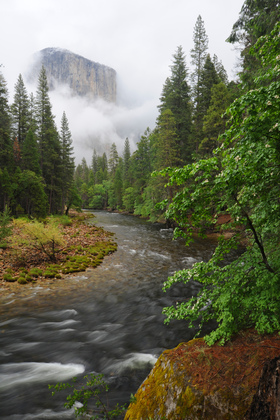 Yosemite National Park