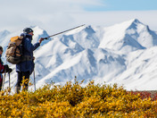 Denali National Park