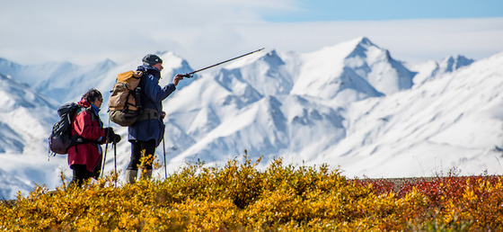 Denali National Park
