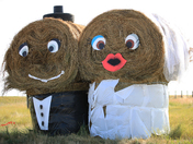 mr BLACK AND MRS WHITE BALES