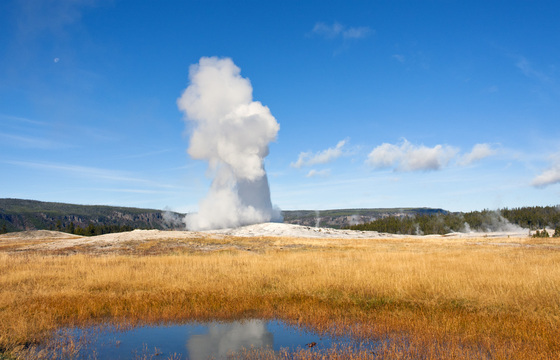 Yellowstone