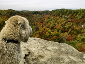 Murph at Dundas Lookout