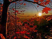 Category- Turn, turn, turn Submission-1 "Autumn Sunrise"