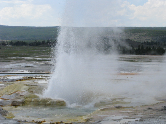 Yellowstone park