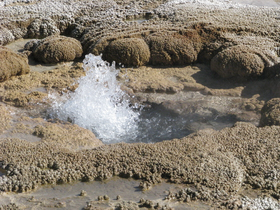 Yellowstone park