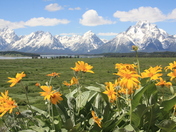 Grand Tetons National Park
