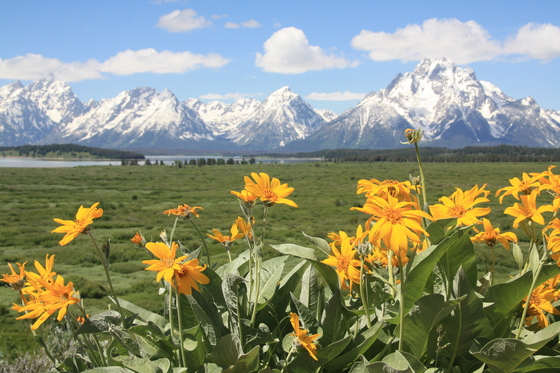 Grand Tetons National Park