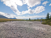 Denali National Park