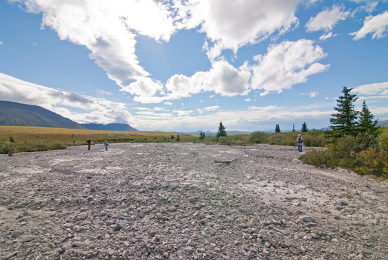 Denali National Park