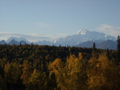 Denali national park
