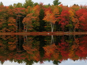 Mersey River Reflection