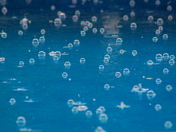Blue Bubbles