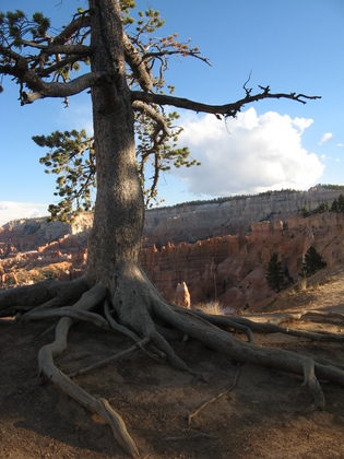 Bryce Canyon National Park
