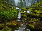 Proxy Falls/Willamette National Forest
