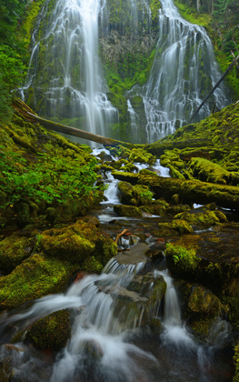 Proxy Falls/Willamette National Forest