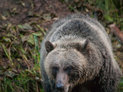 Don't interfere with dinner!