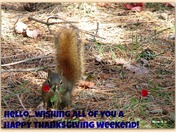 Happy ThanksGiving