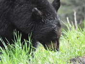 Glacier National Park