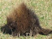 Do NOT mess with me!