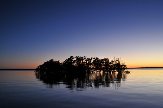 Sunset Everglades National Park