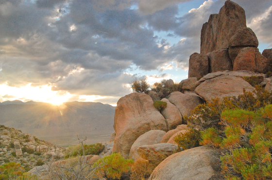 Piper Mountain Wilderness