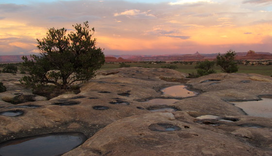 Canyonlands National Park - Needles District