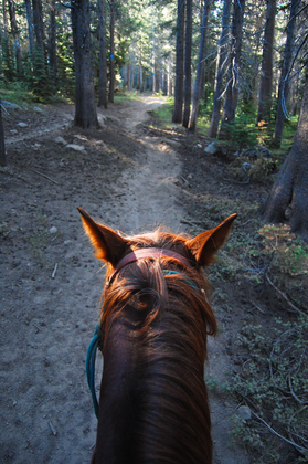 Inyo National Forest