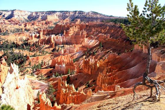 Bryce Canyon National Park