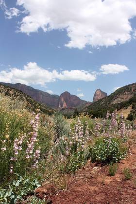 Kolob Canyon