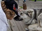 Denali National Park