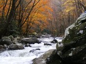 Smoky Mountain National Park