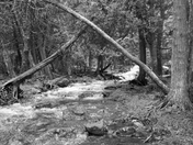 Acadia National Park