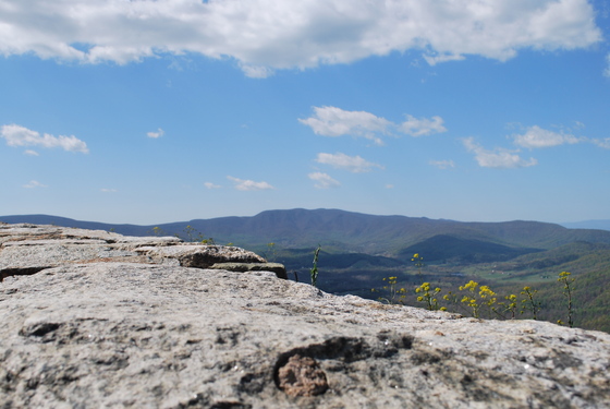 Shenandoah National Park